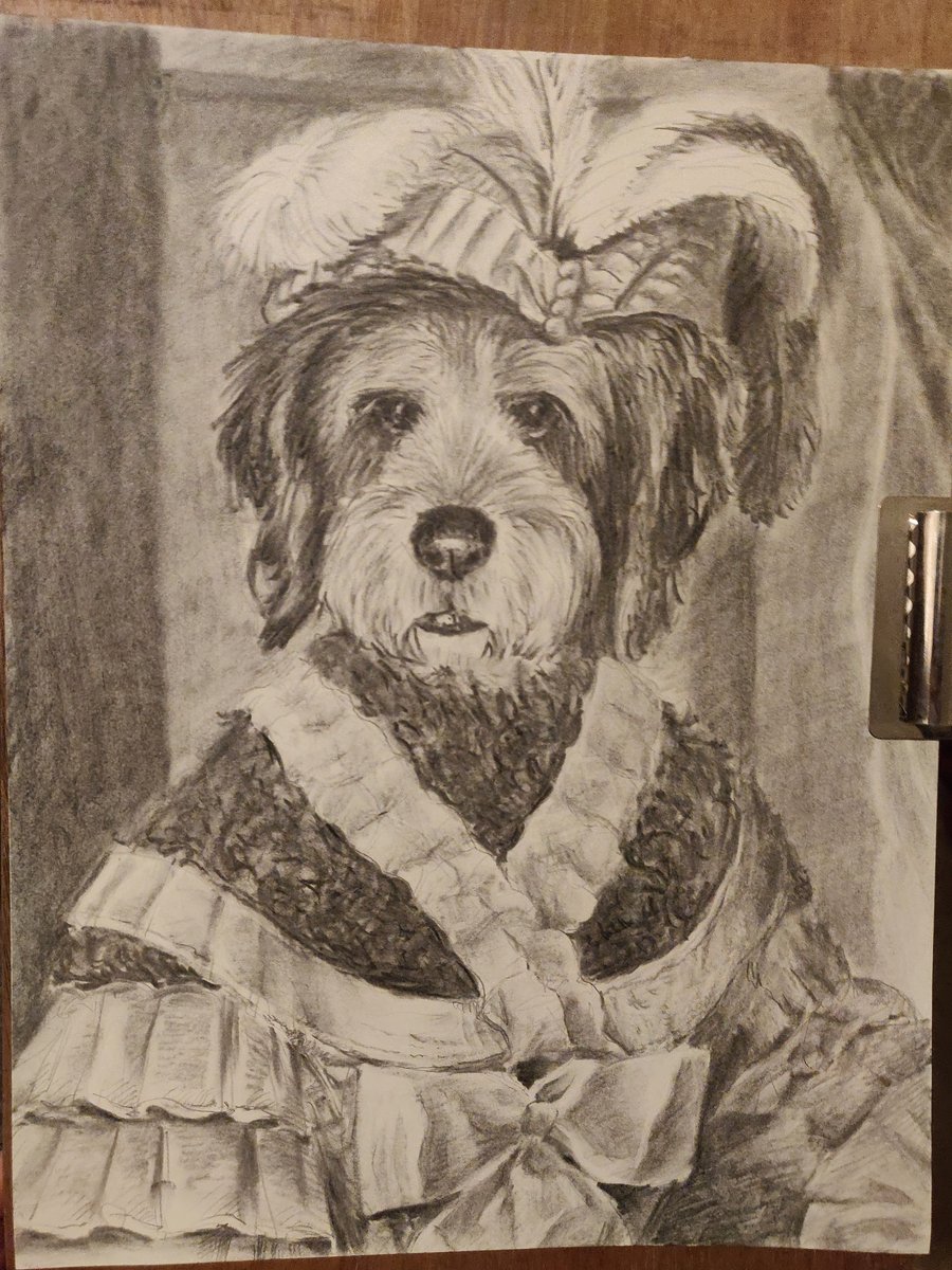Pencil and Charcoal drawing of personified royal lady dog wearing traditional dress.